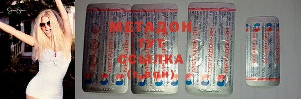 прущие грибы Аркадак
