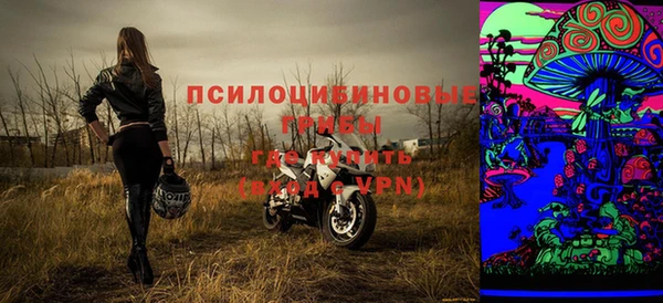 не бодяженный Арсеньев