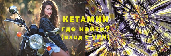 прущие грибы Аркадак