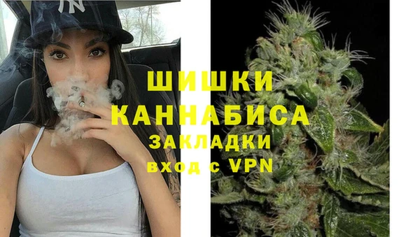 прущие грибы Аркадак