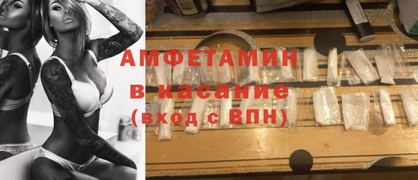 прущие грибы Аркадак