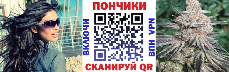 где купить наркотик  Судогда  Марихуана семена 